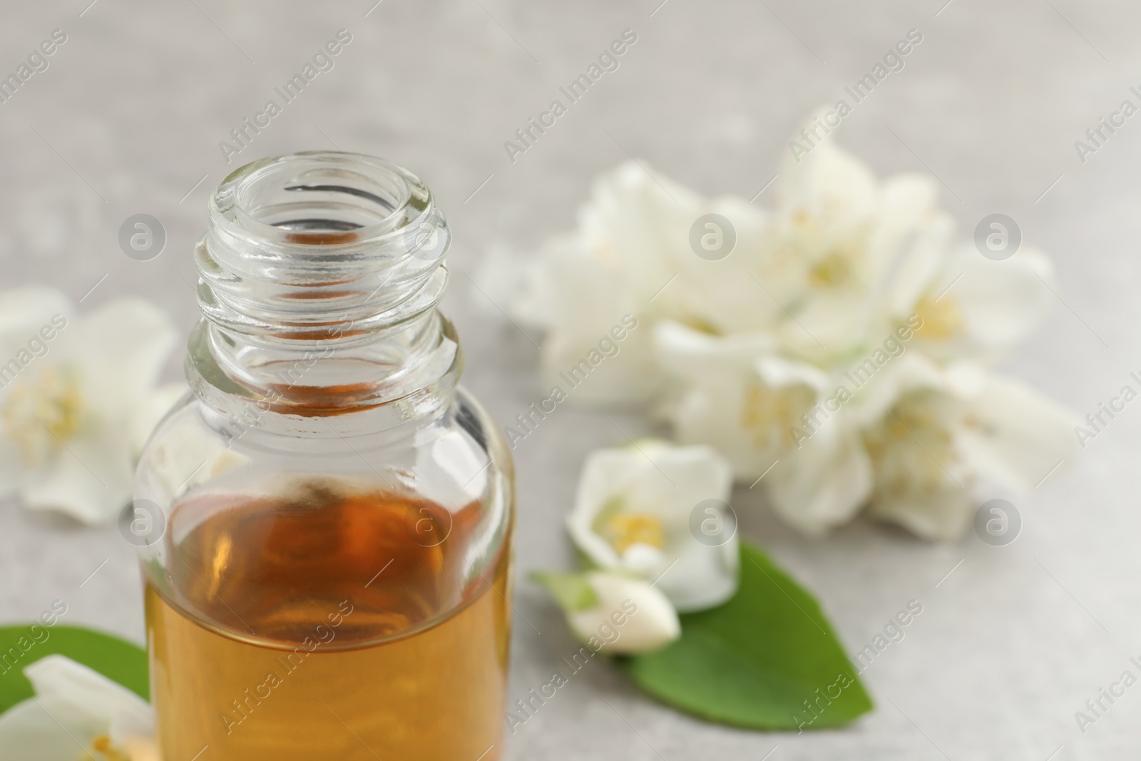 Photo of Essential oil and jasmine flowers on light grey table, closeup. Space for text