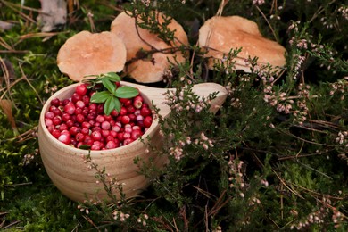 Photo of Many ripe lingonberries in wooden cup near mushrooms outdoors