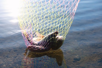 Photo of Net with catch above river. Fishing day