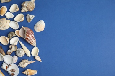 Different beautiful sea shells on blue background, flat lay. Space for text