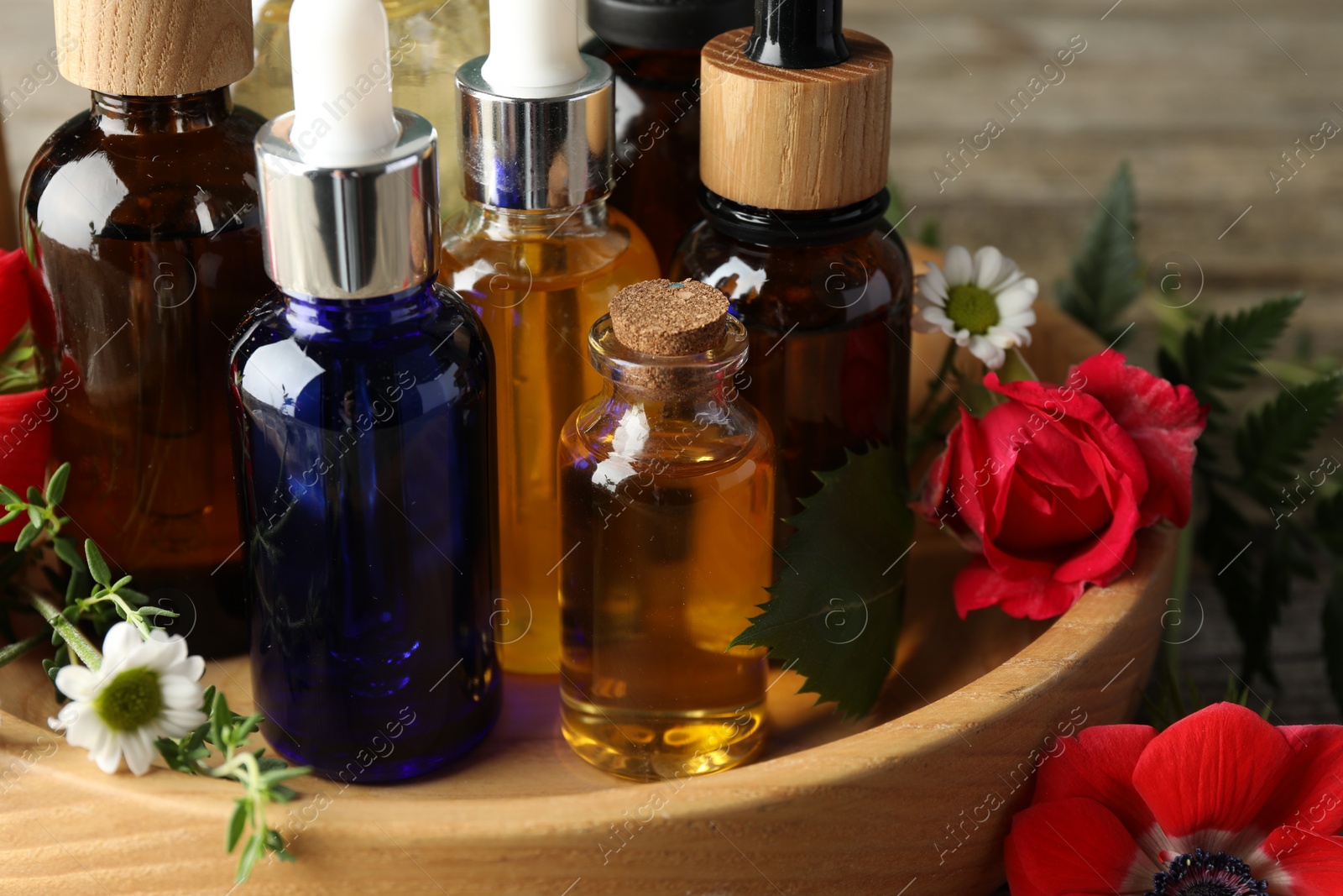 Photo of Aromatherapy. Different essential oils and flowers on table, closeup