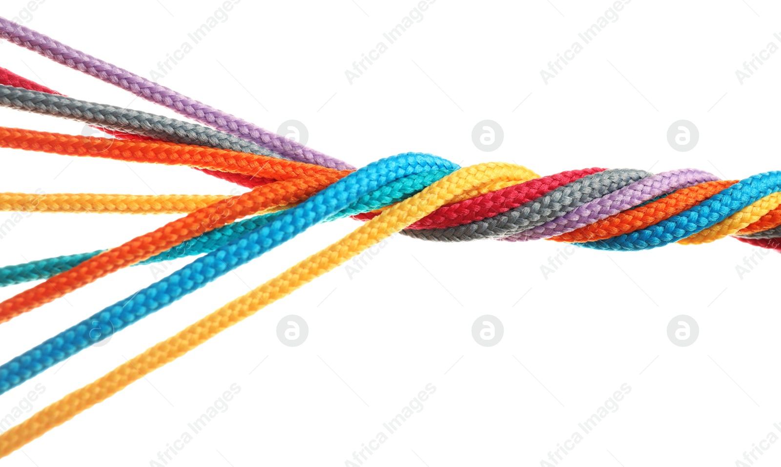 Photo of Twisted colorful ropes isolated on white. Unity concept