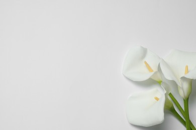 Photo of Beautiful calla lilies on white background, flat lay with space for text. Funeral symbol