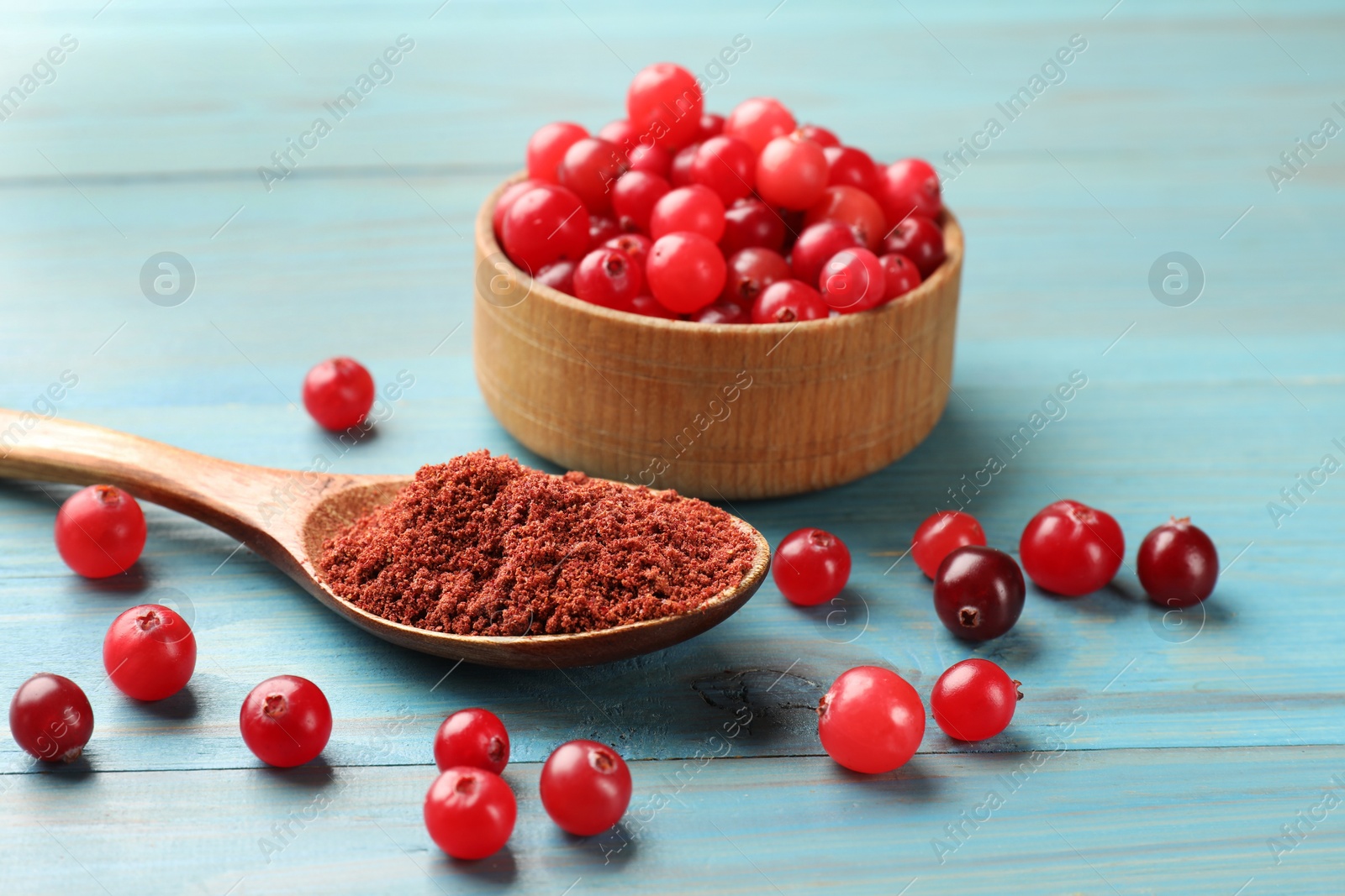 Photo of Spoon with cranberry powder and fresh berries on light blue wooden table, closeup