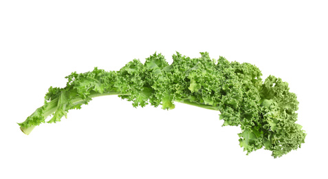 Photo of Fresh green kale leaf isolated on white