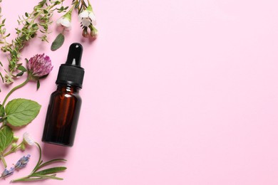 Bottle of essential oil, different herbs and flowers on pink background, flat lay. Space for text