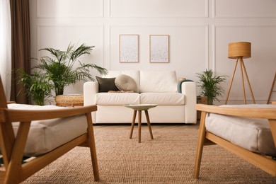Photo of Beautiful potted house plants in stylish living room