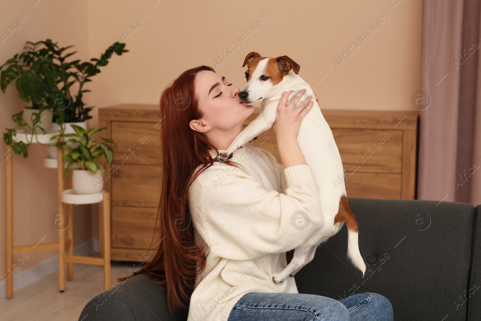 Photo of Woman kissing cute Jack Russell Terrier dog on sofa at home