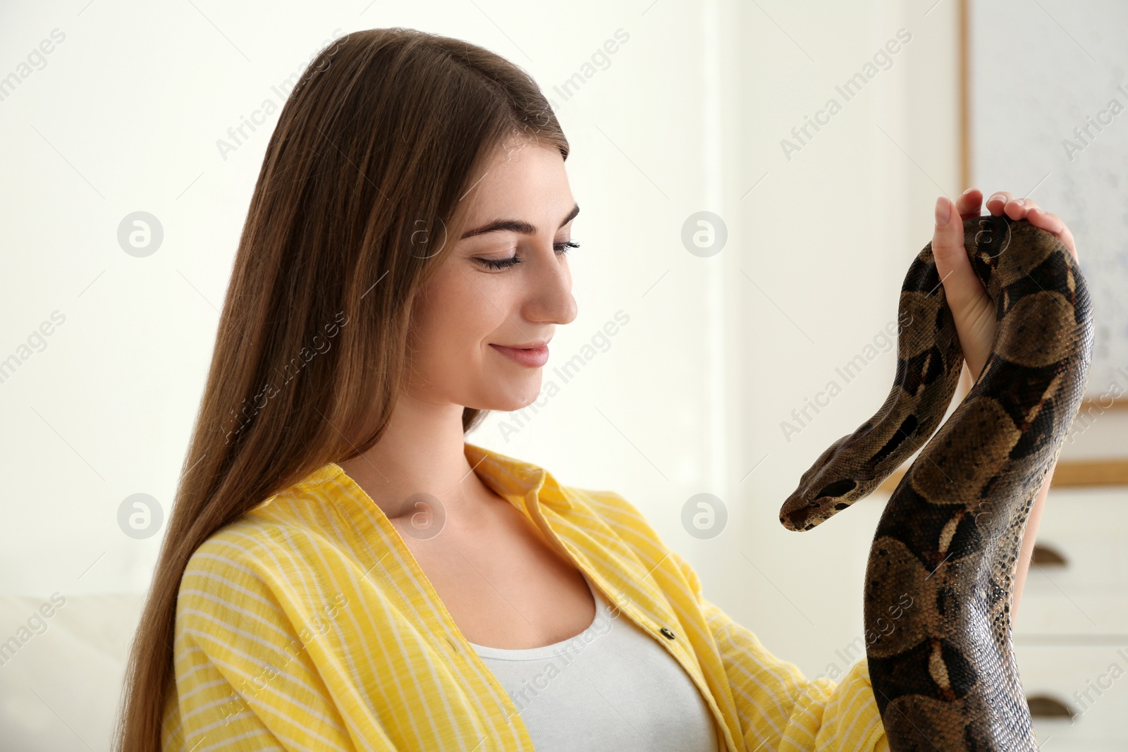 Photo of Young woman with boa constrictor at home. Exotic pet