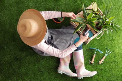 Woman taking care of plant on green grass, top view. Home gardening