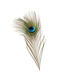 Beautiful bright peacock feather on white background