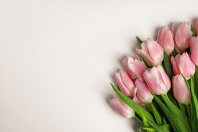 Photo of Beautiful pink spring tulips on white background, top view