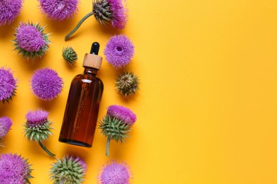 Photo of Bottle of essential oil and flowers on orange background, flat lay. Space for text