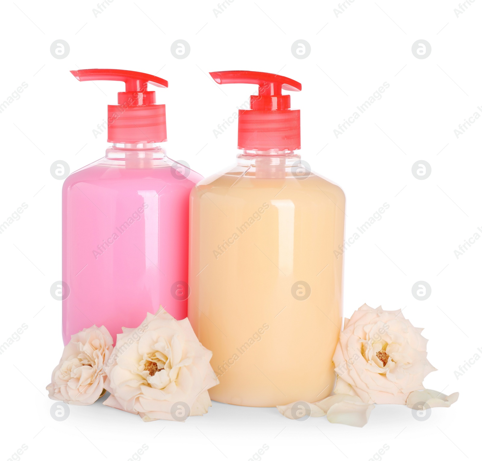 Photo of Dispensers with liquid soap and roses on white background