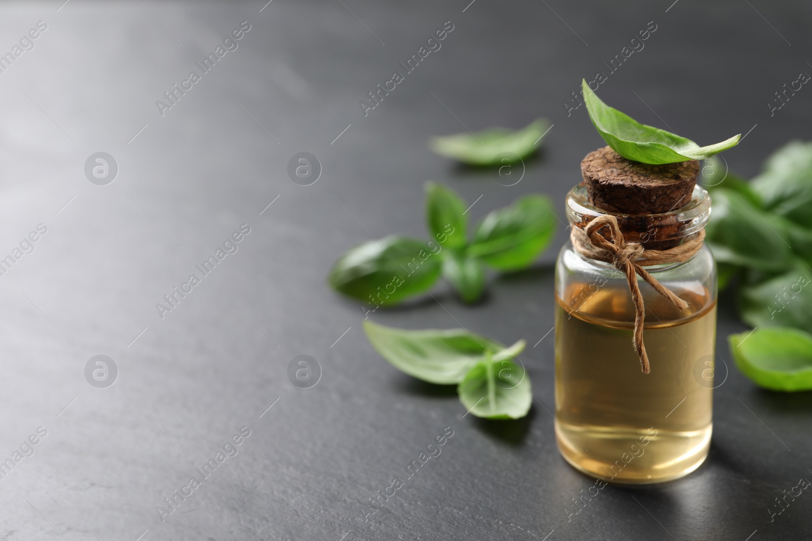 Photo of Bottle of essential basil oil and fresh leaves on dark grey table, space for text