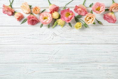 Flat lay composition with beautiful Eustoma flowers on white wooden table, space for text