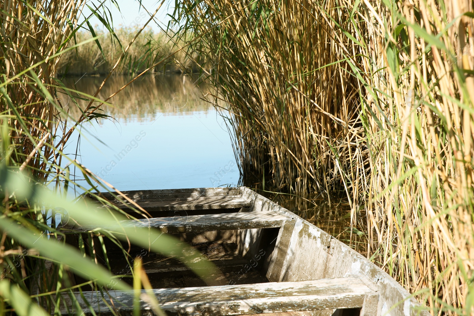 Photo of Fishing boat at riverside on sunny day