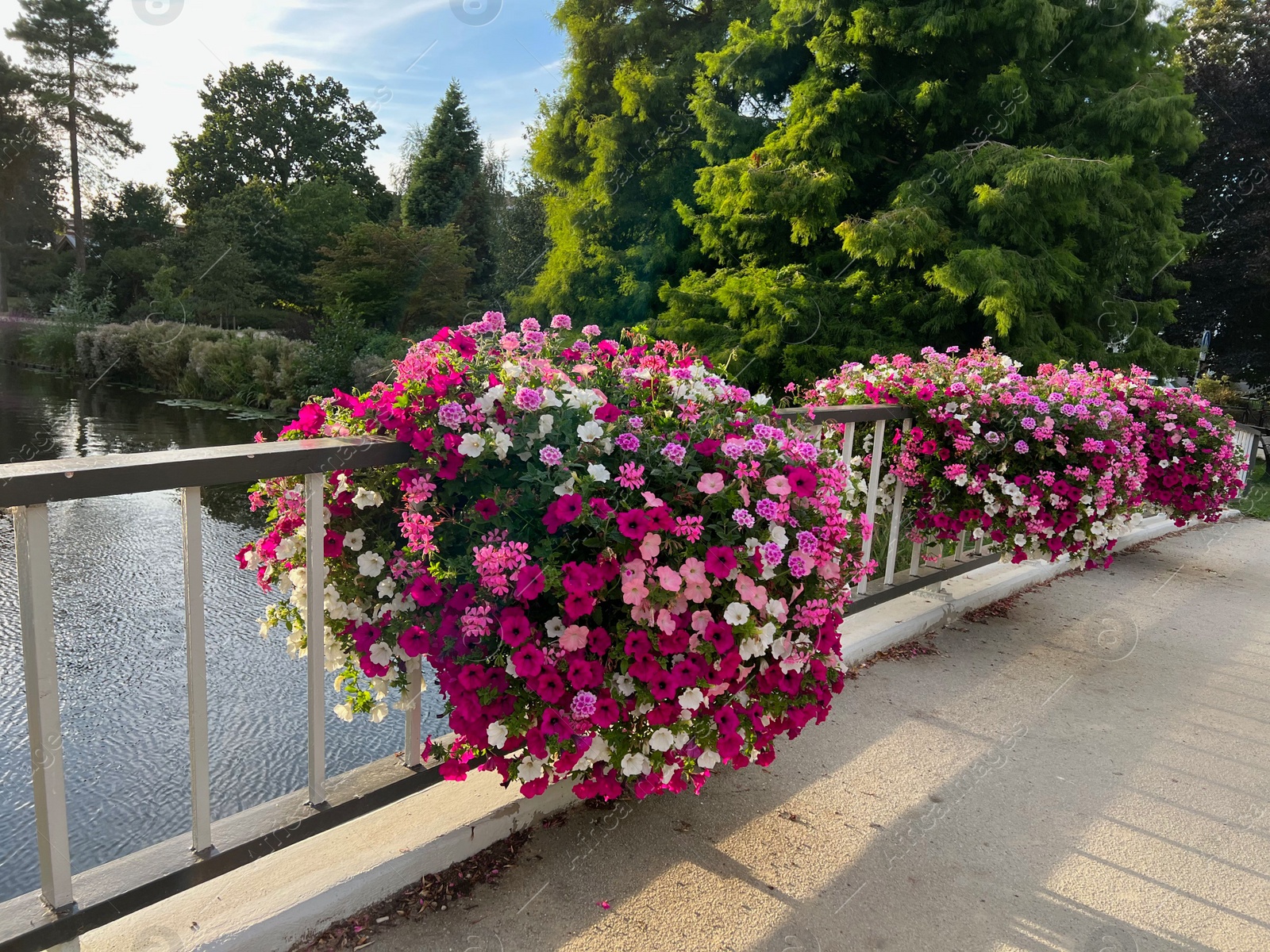 Photo of View of beautiful flowers on bridge over water