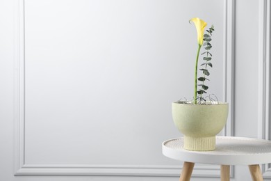 Stylish ikebana as house decor. Beautiful fresh calla flower and eucalyptus branch on table near white wall, space for text