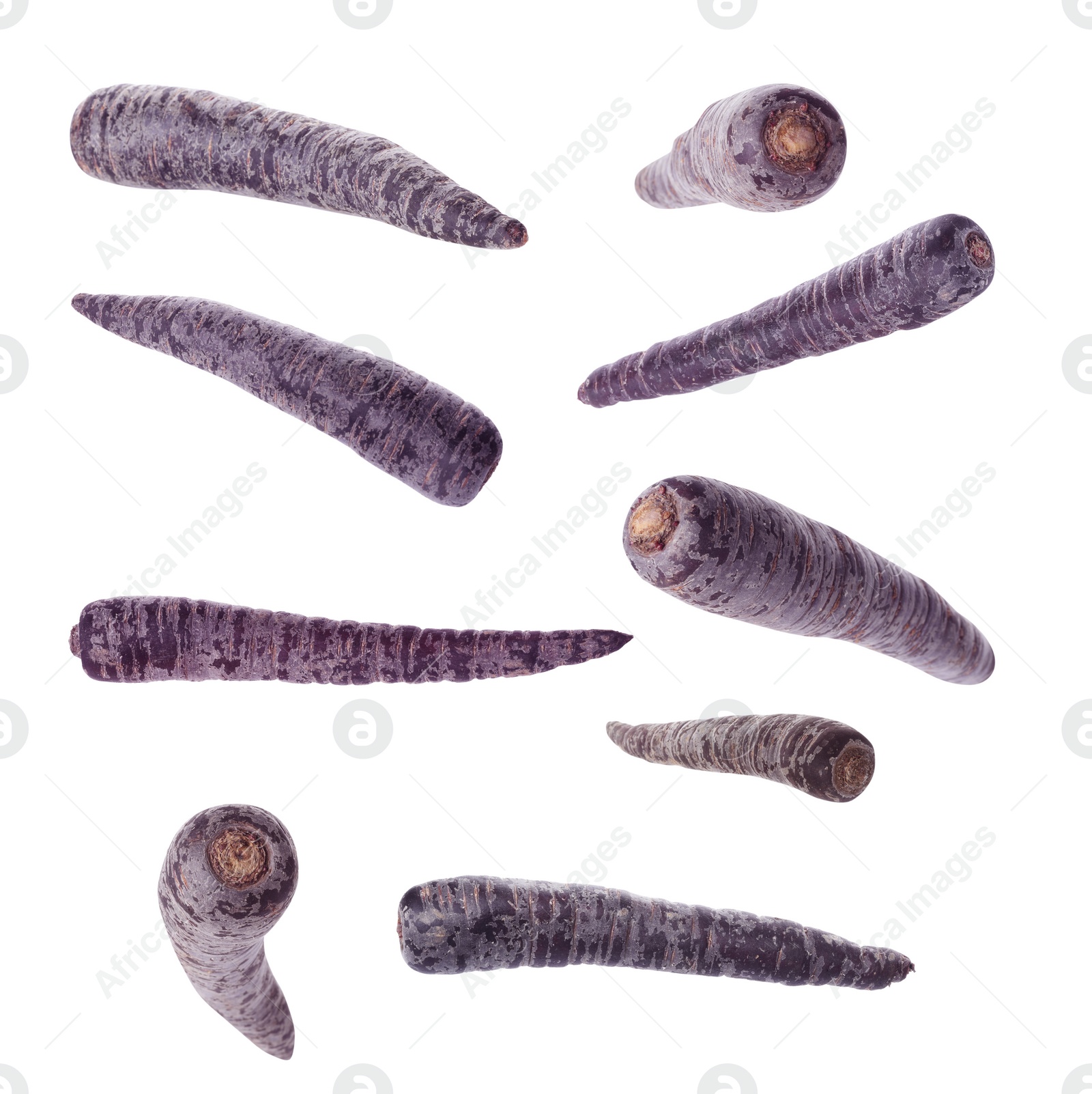 Image of Fresh black carrots falling on white background