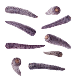 Image of Fresh black carrots falling on white background