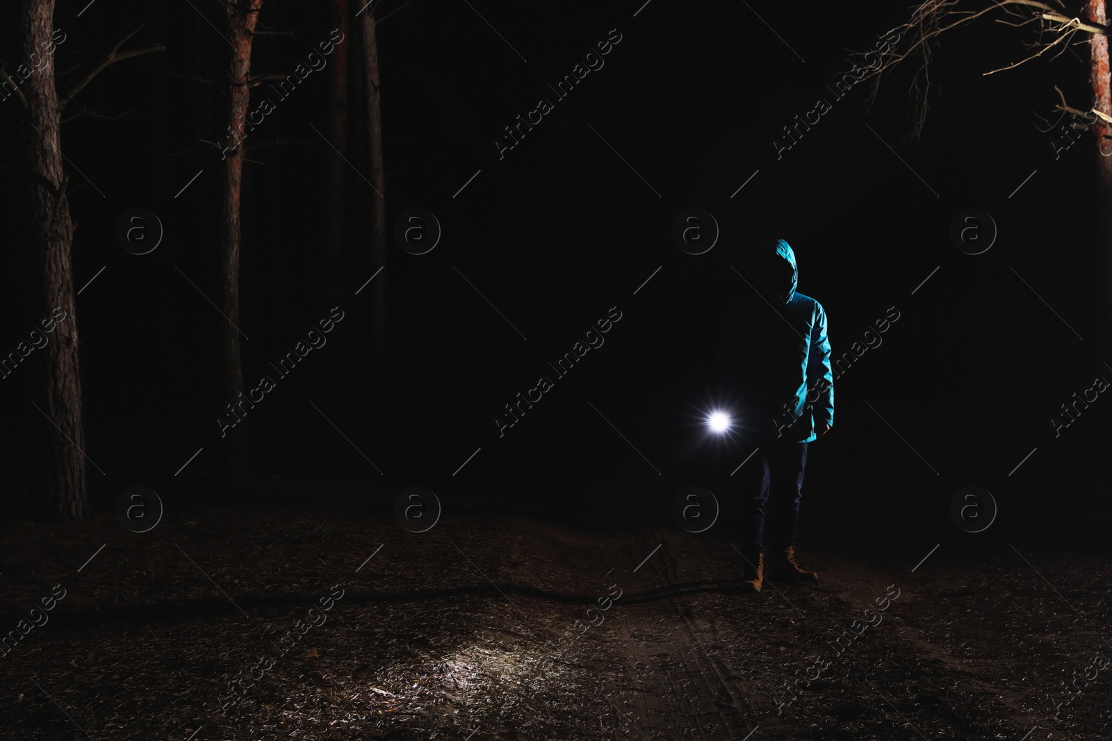 Photo of Man with bright flashlight in forest at night