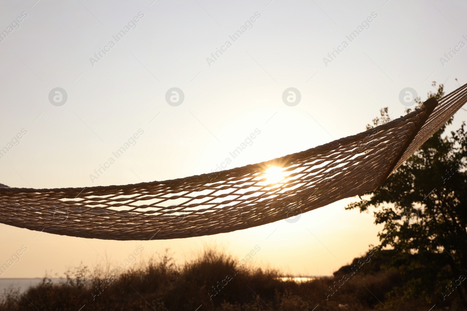 Photo of Empty hammock hanging outdoors. Time to relax