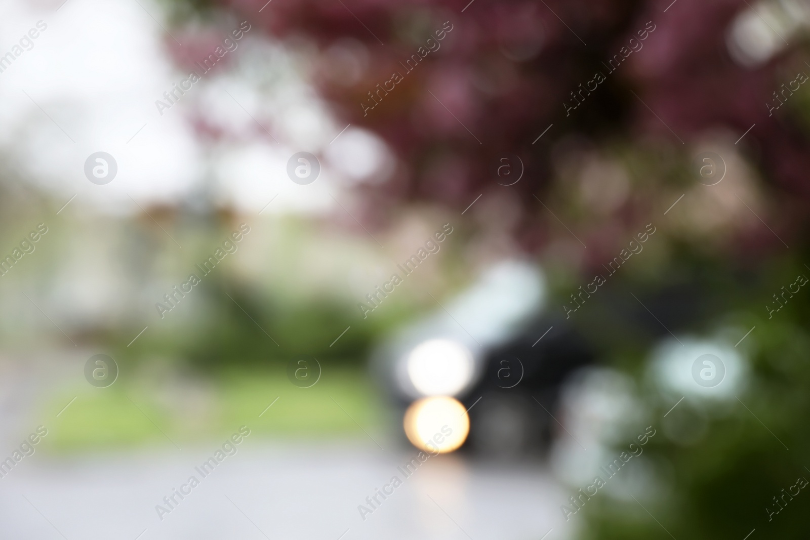 Photo of Blurred view of beautiful blossoming tree and car on city street. Bokeh effect