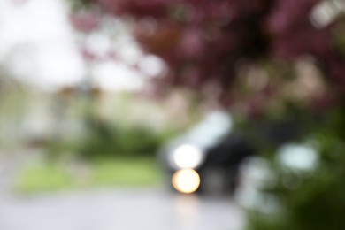 Blurred view of beautiful blossoming tree and car on city street. Bokeh effect