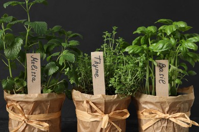 Photo of Closeup view of different aromatic potted herbs