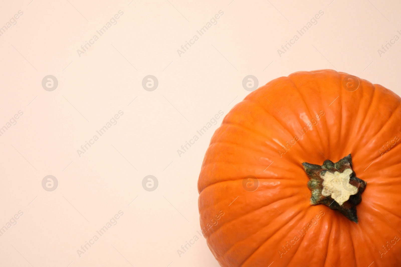 Photo of Fresh ripe pumpkin on light background, top view. Space for text