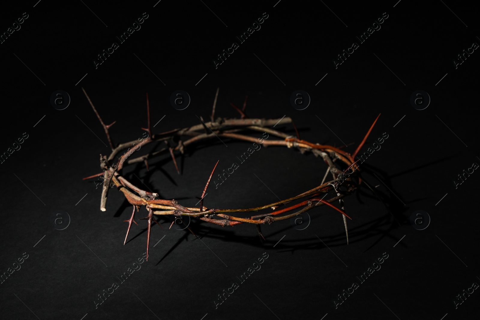 Photo of Crown of thorns on dark background. Easter attribute