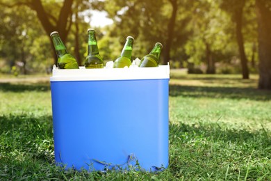 Photo of Blue plastic cool box with bottles of beer in park