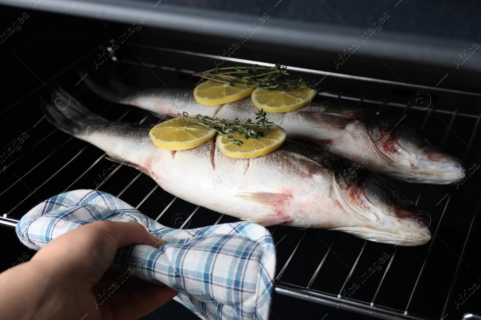 Photo of Woman putting rack with sea bass fish, lemon and thyme into oven, closeup