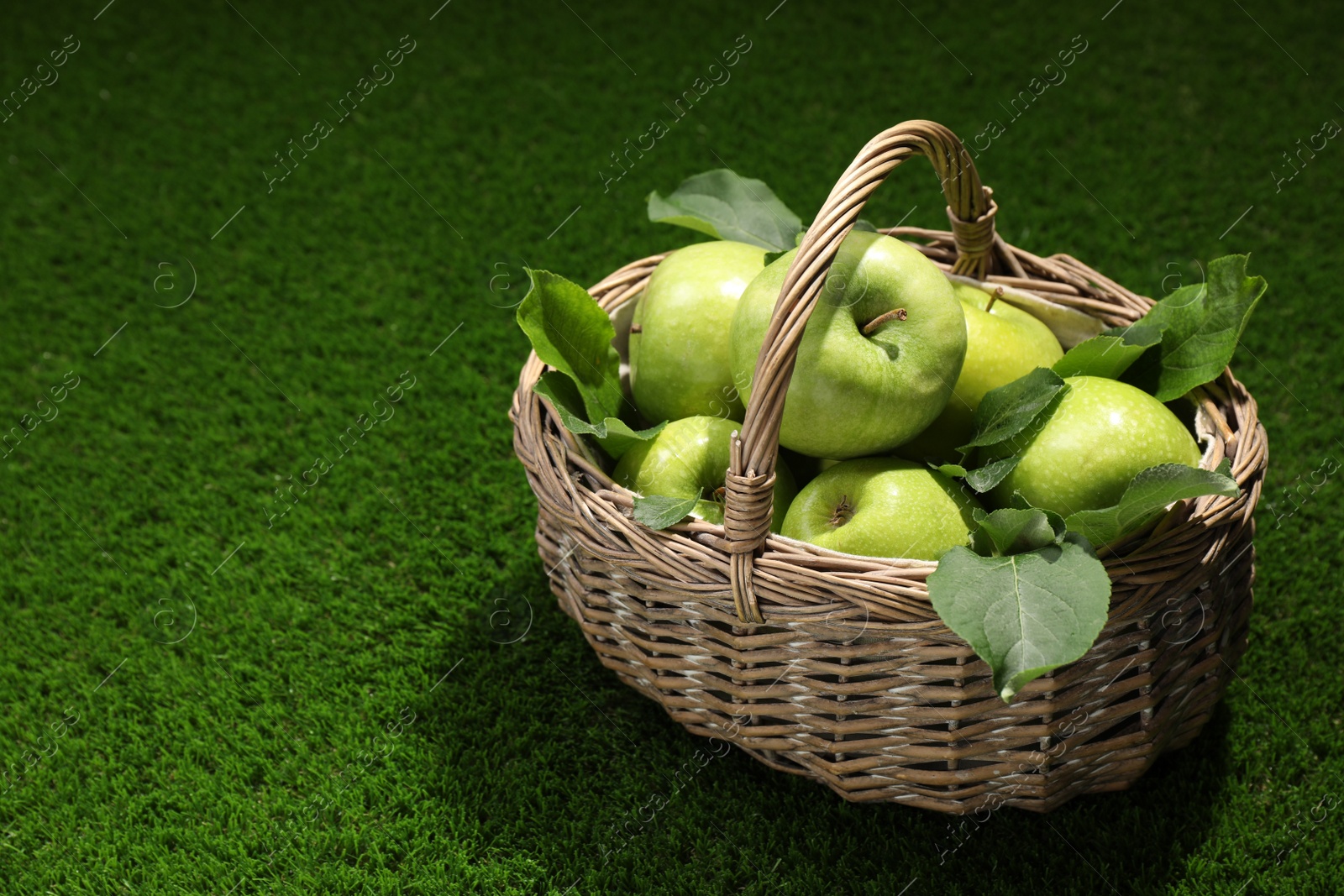 Photo of Ripe green apples with leaves in wicker basket on grass. Space for text