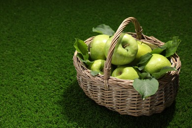 Ripe green apples with leaves in wicker basket on grass. Space for text