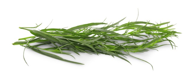 Photo of Bunch of fresh tarragon on white background