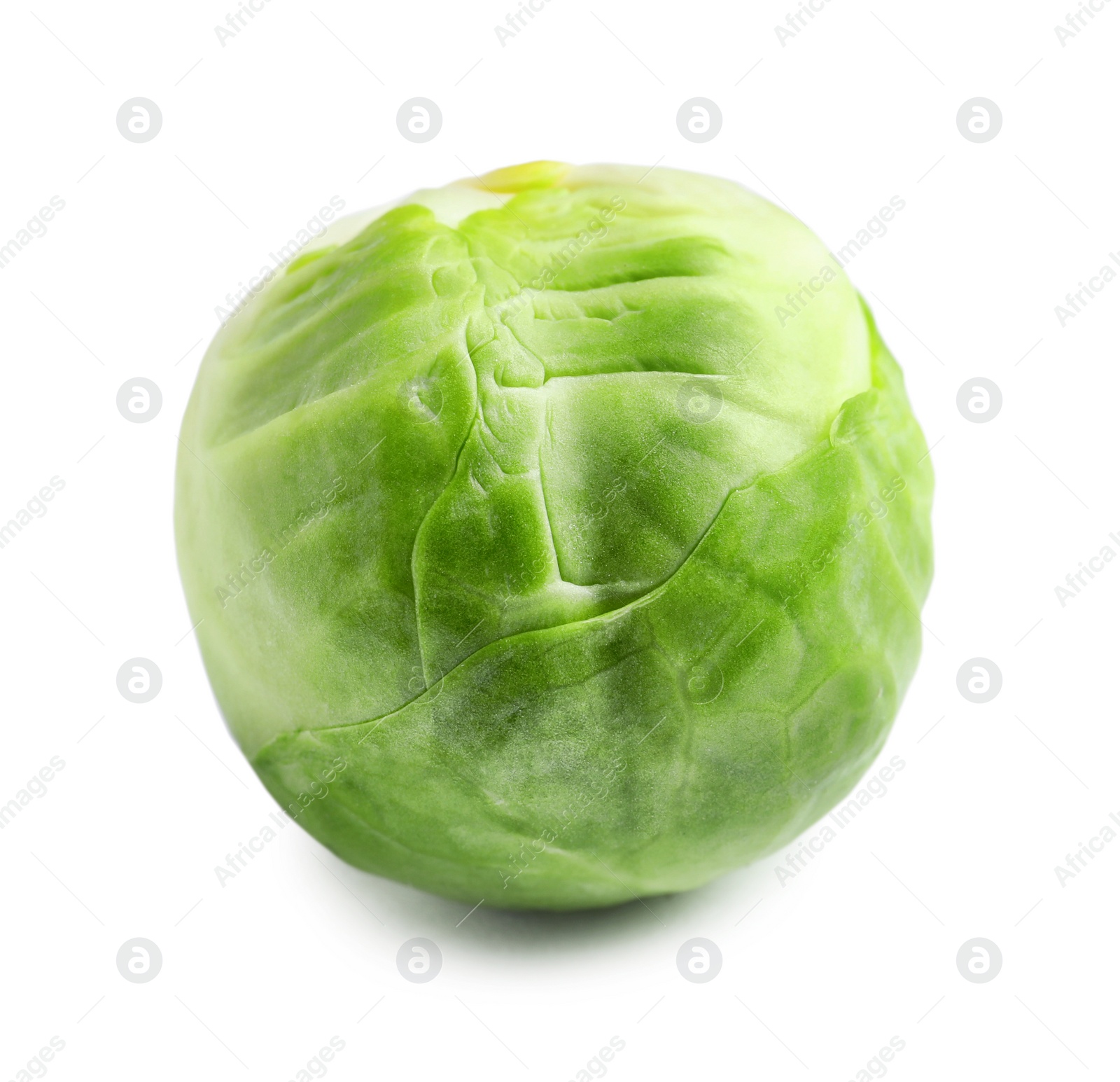 Photo of Fresh tasty Brussels sprout on white background