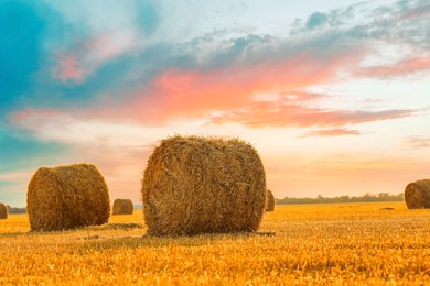 Image of Hay bales in golden field under beautiful sky at sunset