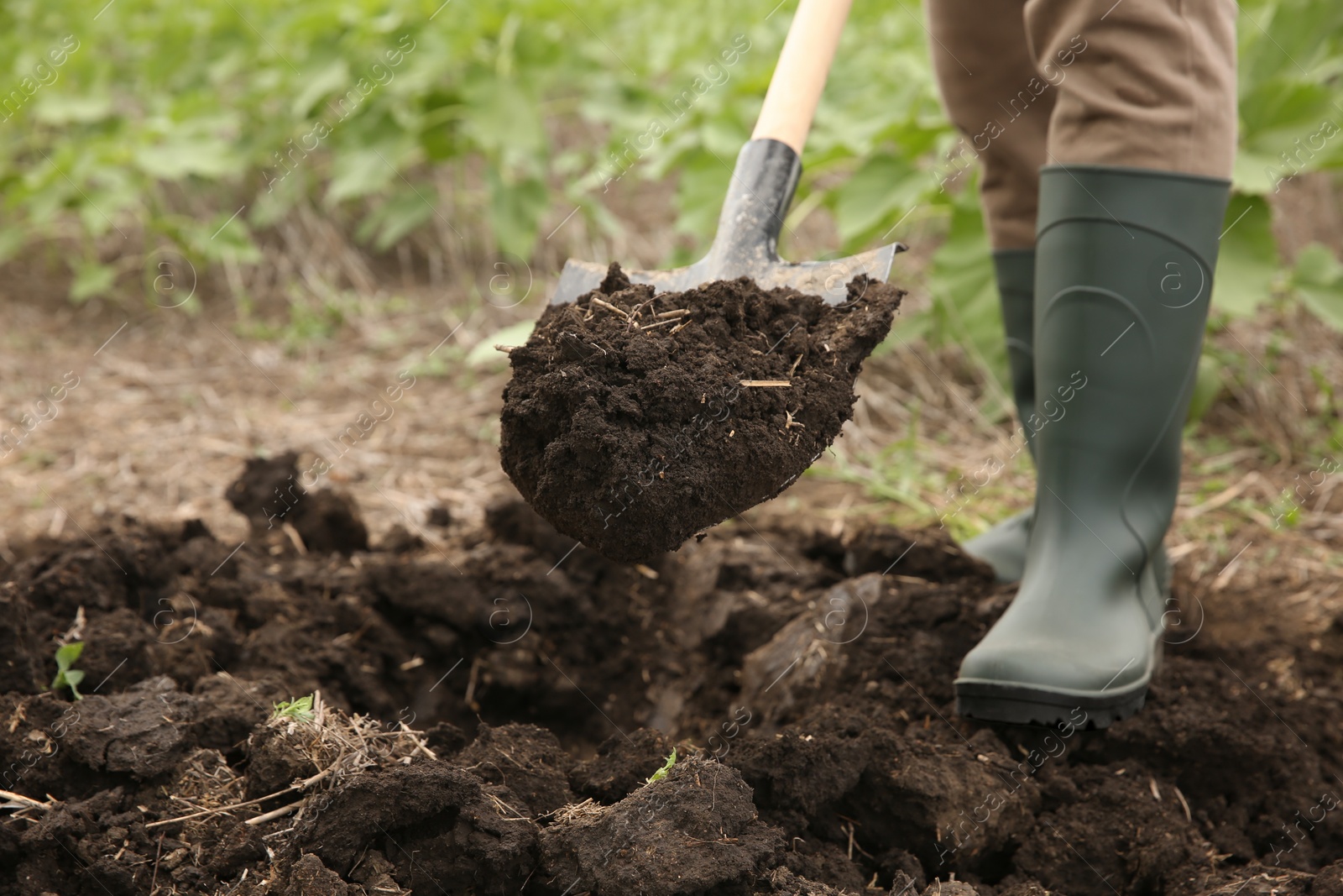 Photo of Worker digging soil with shovel outdoors, closeup