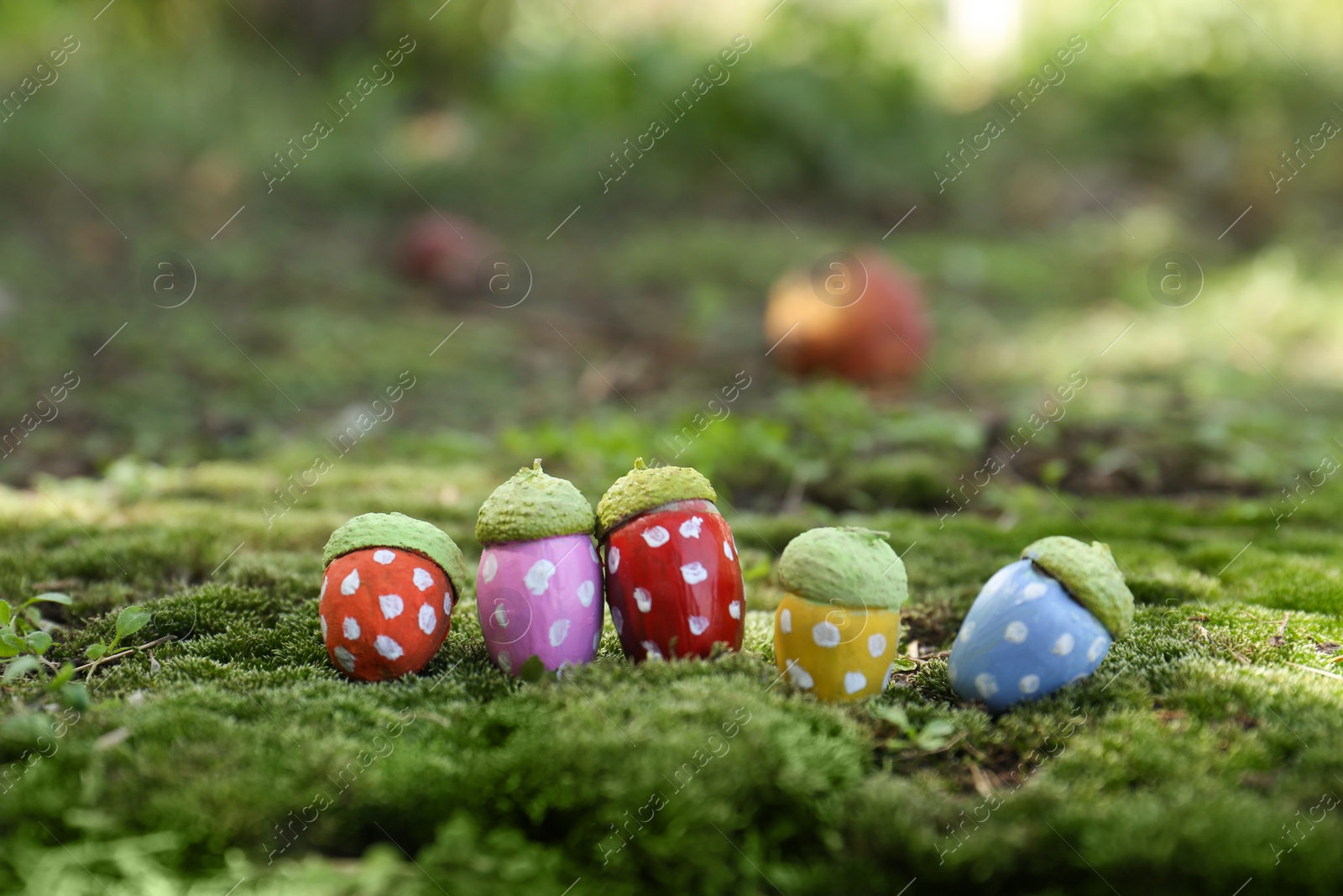 Photo of Colorful painted acorns with polka dot pattern on green moss outdoors