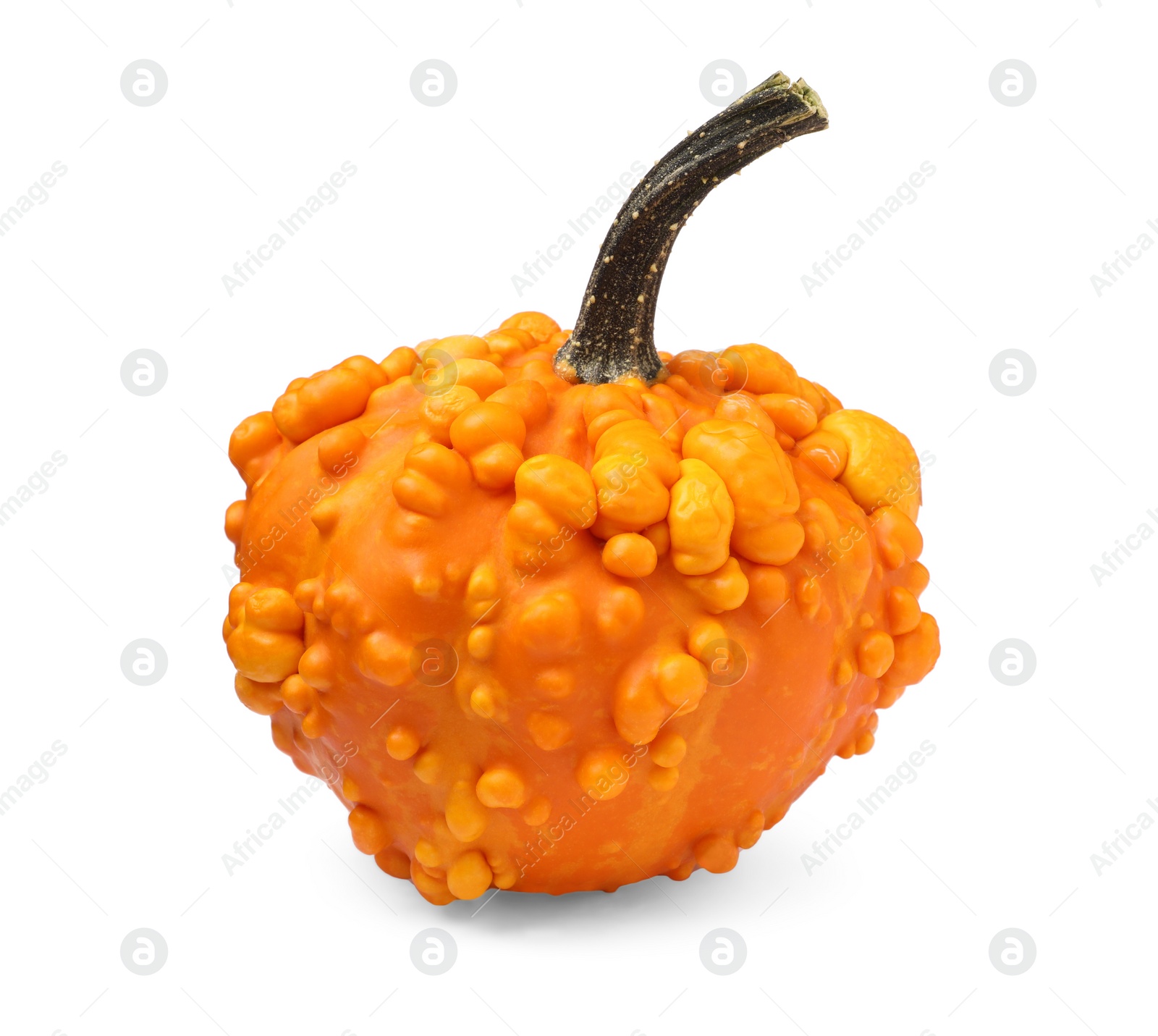 Photo of One whole ripe pumpkin isolated on white