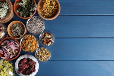 Photo of Many different medicinal herbs in bowls on blue wooden table, flat lay. Space for text