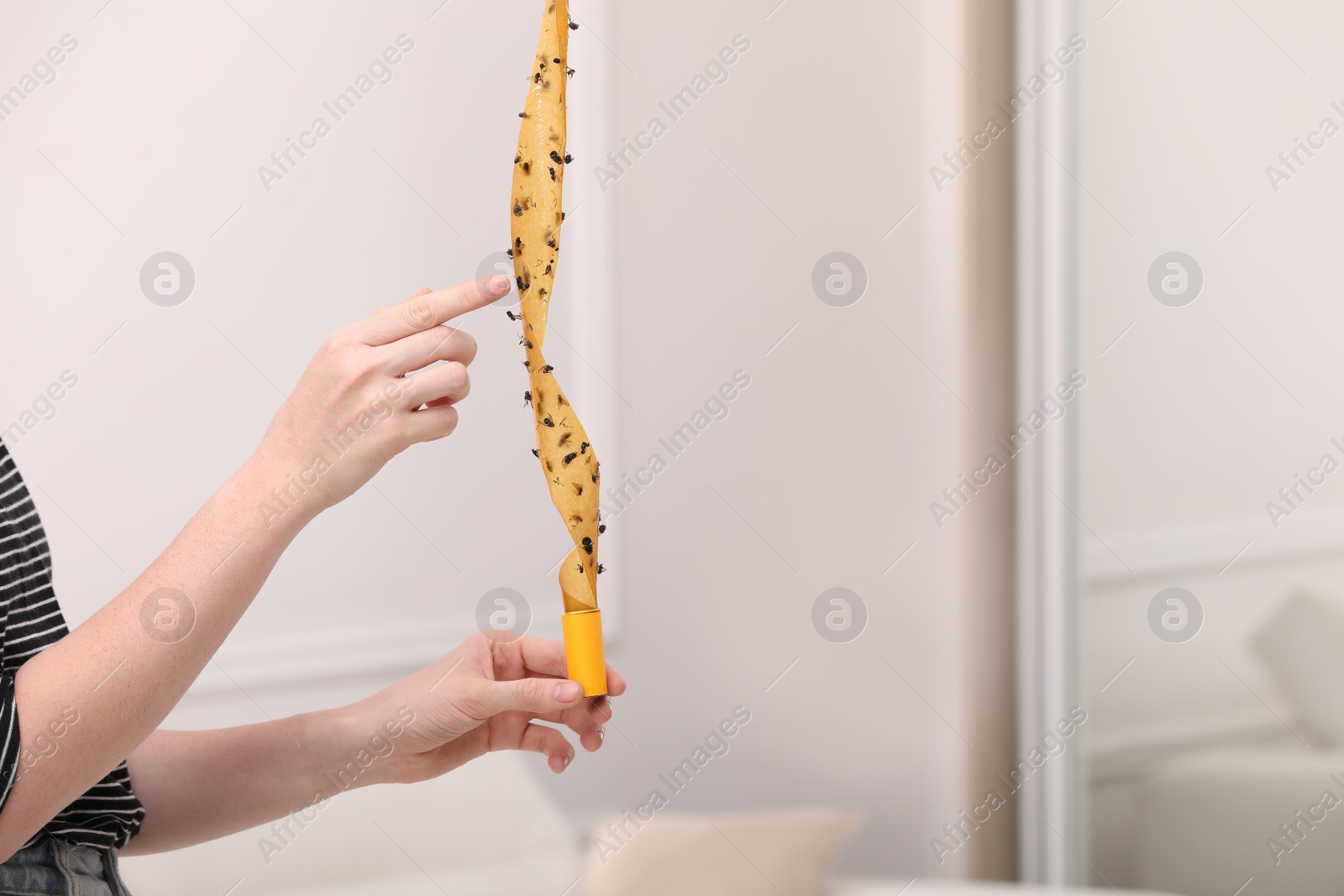 Photo of Woman holding sticky insect tape with dead flies indoors, closeup. Space for text