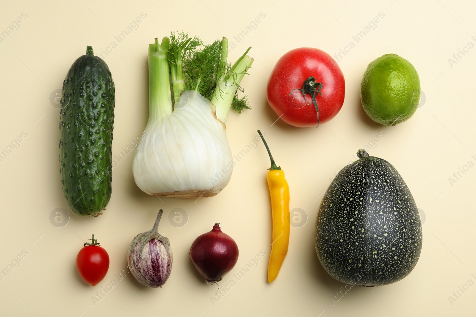 Photo of Flat lay composition with fresh vegetables and lime on color background