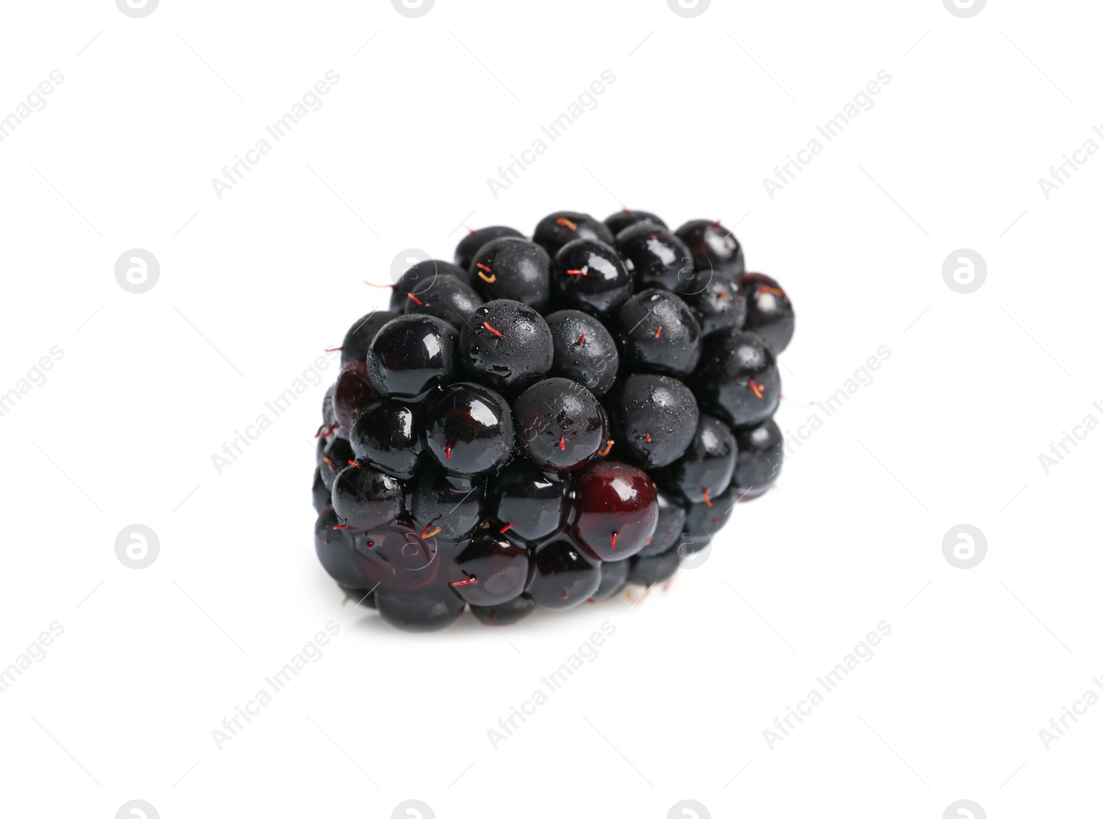 Photo of One tasty ripe blackberry isolated on white