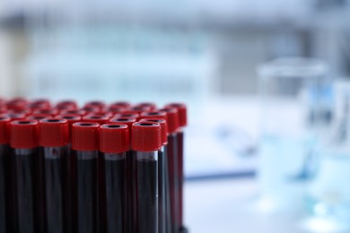 Test tubes with samples in laboratory, closeup. Space for text