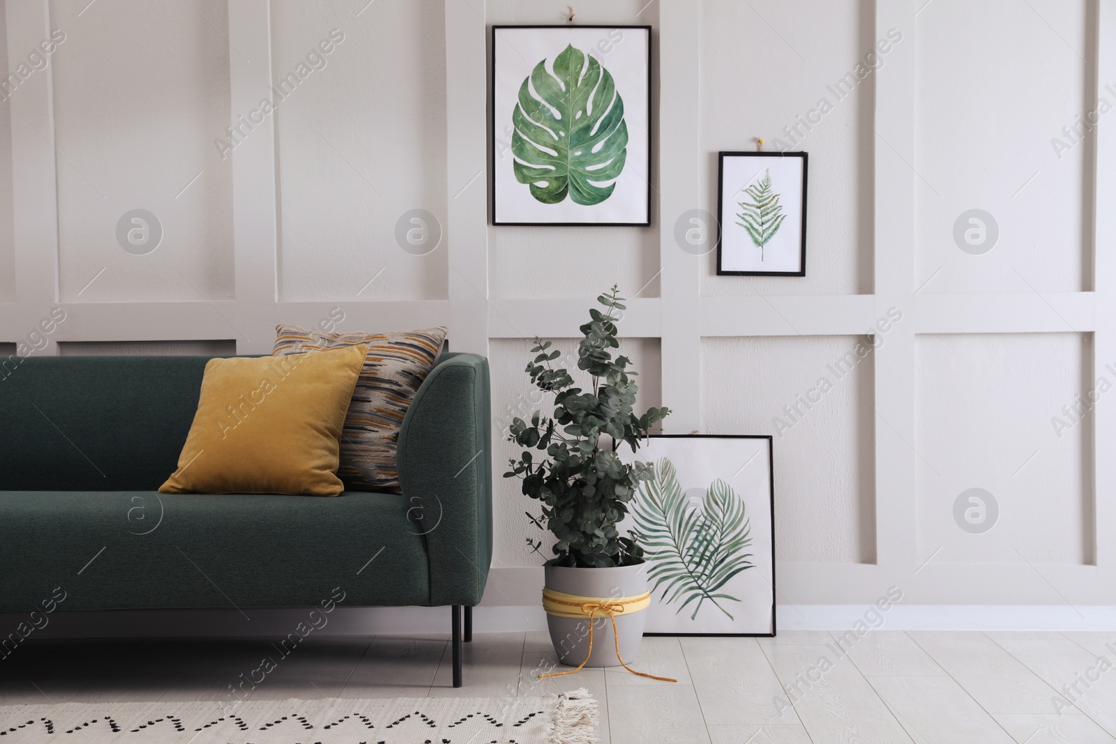 Photo of Living room with stylish sofa, beautiful eucalyptus and decorative elements. Interior design