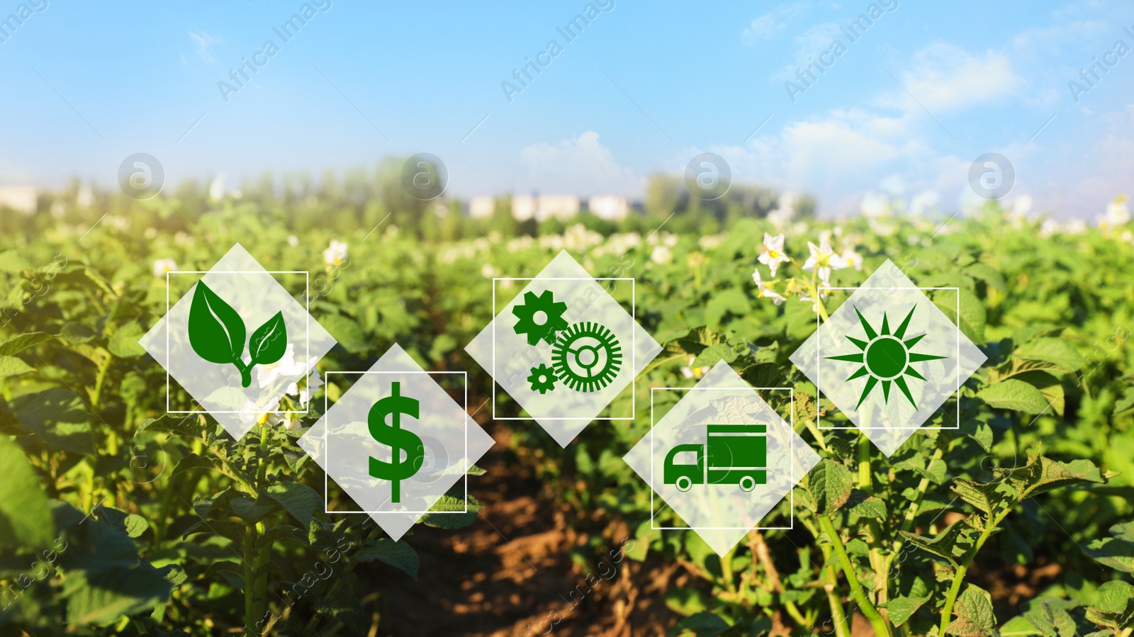 Image of Modern agriculture concept. Icons and field on background