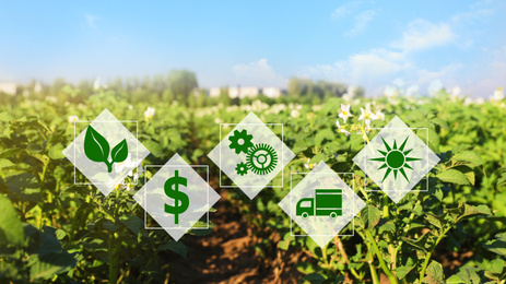 Image of Modern agriculture concept. Icons and field on background